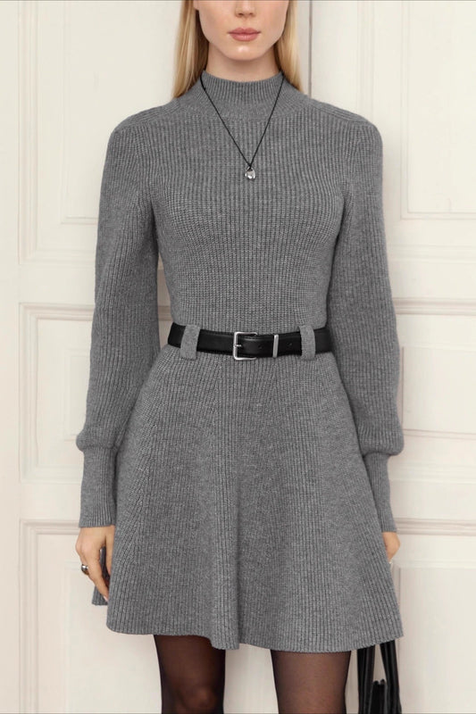 Thick Knit Turtleneck Sweater Dress