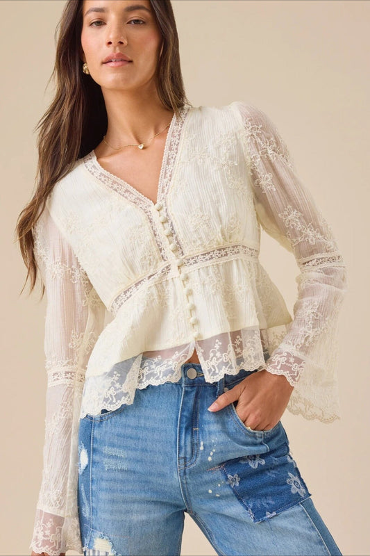 Lace Casual Hollow Out Long Sleeve Blouse