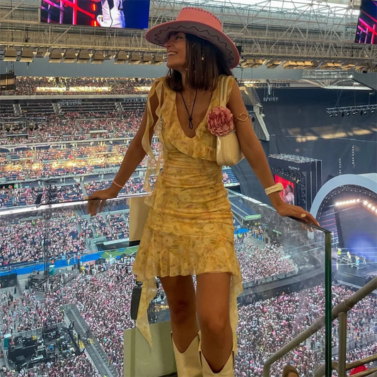 PB&ZA Silk Mesh Printed Vacation Dress