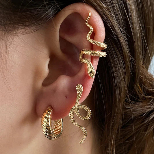 Snake Form Silver Hip Hop Stud Earring