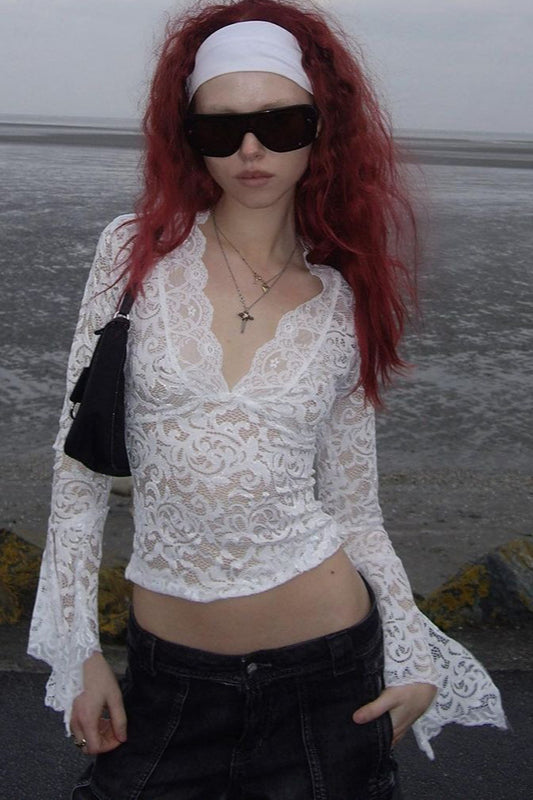 Slim Fit Scallop Lace V-Neck Knit Top