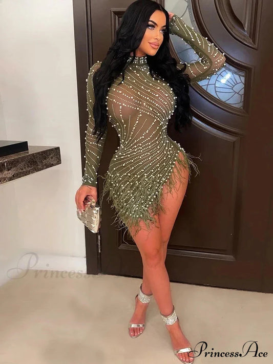 Znaiml Feather Mesh Party Dress