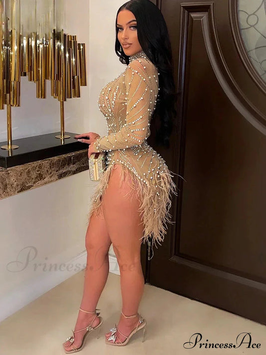 Znaiml Feather Mesh Party Dress