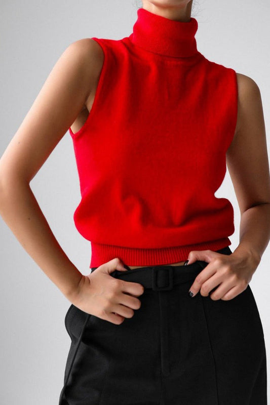 Slim Turtleneck Knit Top