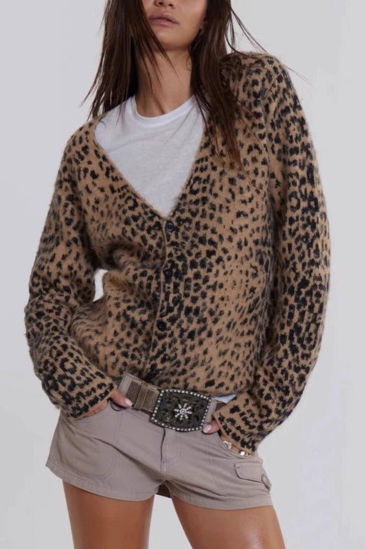 Leopard Print V Neck Knit Bloshope