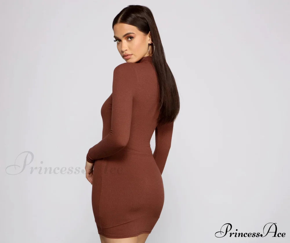 Basic Ribbed Knit Charming Long Sleeve Mini Dress T-Shirts
