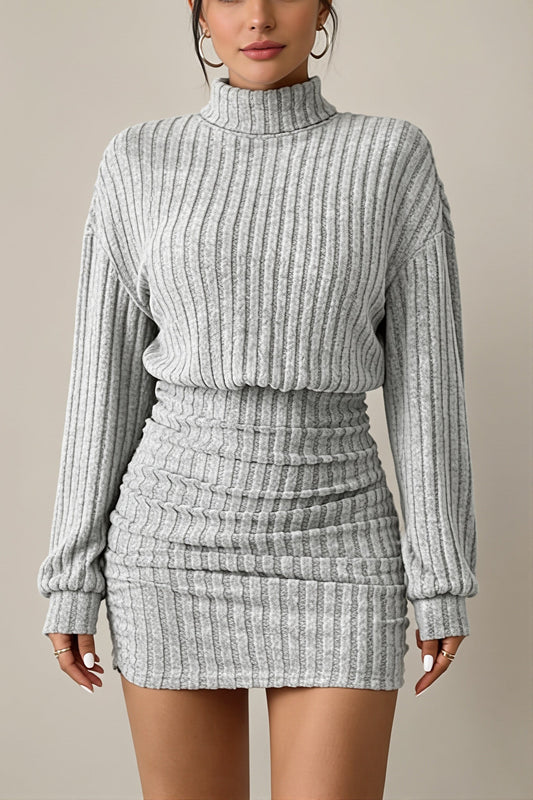 Ribbed Turtleneck Long Sleeve Mini Dress
