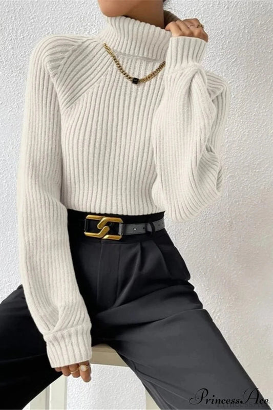 Loose Turtleneck Raglan Sleeve Sweater