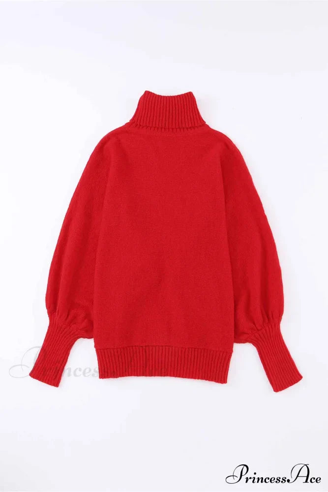 Merry Dolman Sleeve Turtleneck Knitted Sweater Sweaters-L