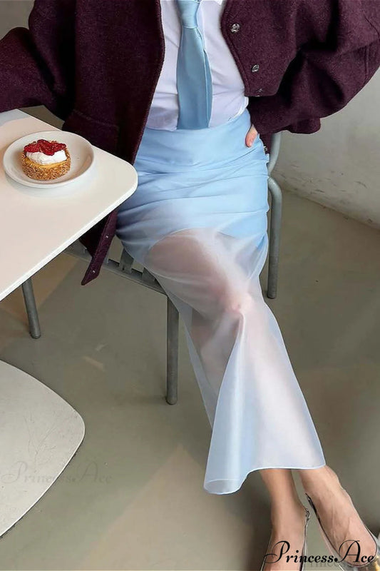 Sheer High Waist Midi Skirt